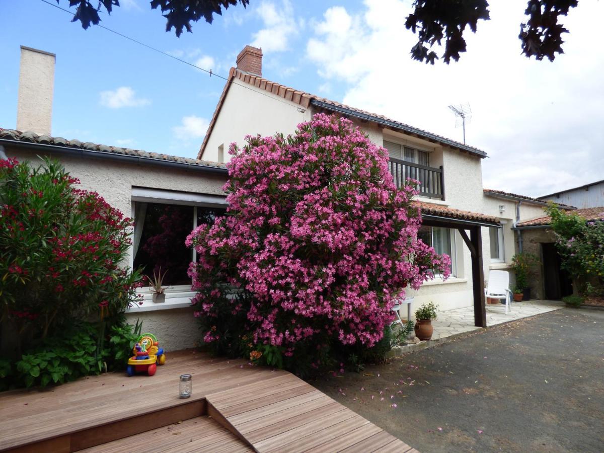 Chambres D'Hotes Vignes Et Loire Drain Bagian luar foto