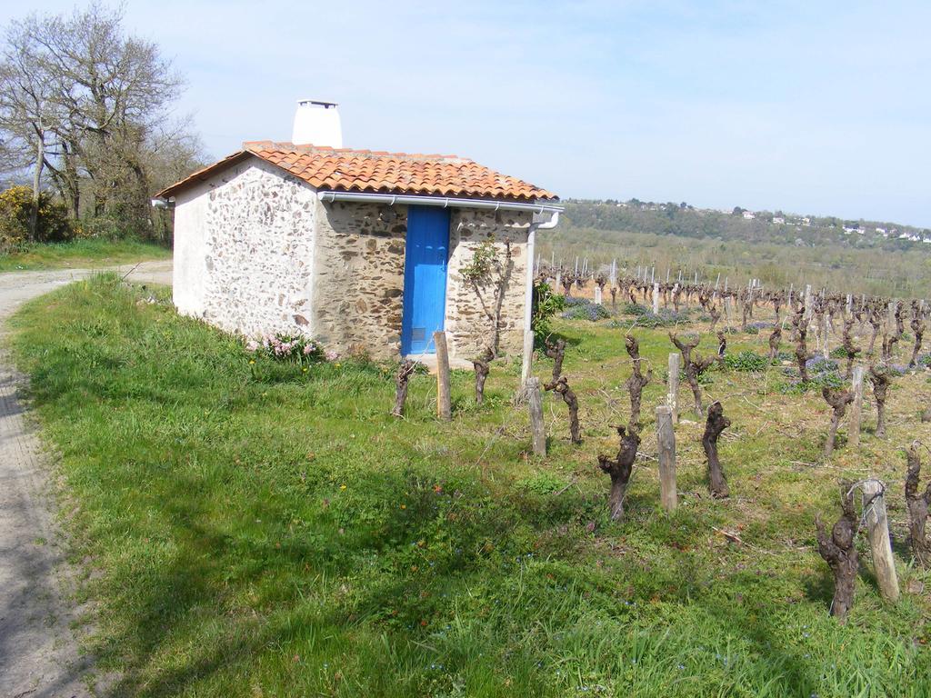 Chambres D'Hotes Vignes Et Loire Drain Ruang foto