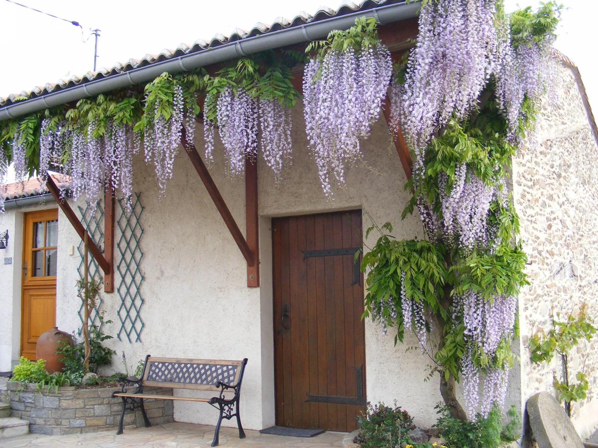 Chambres D'Hotes Vignes Et Loire Drain Bagian luar foto