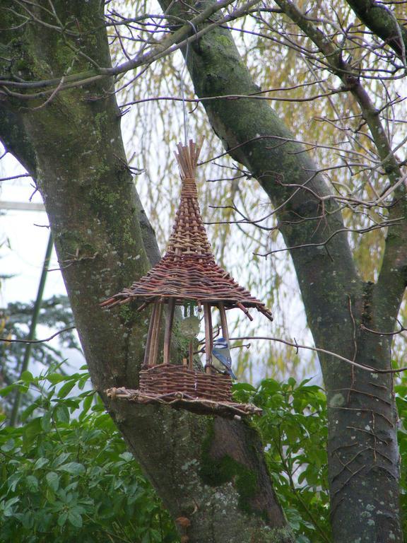 Chambres D'Hotes Vignes Et Loire Drain Bagian luar foto